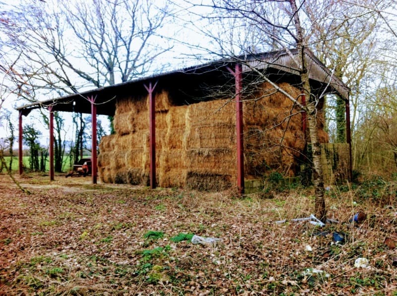 Farm Barn with no sides. Barn is full of hay bales. Barn is sat in a woodland durning winter